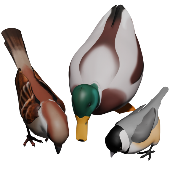 Bird Beak Bonanza